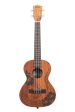 Kala KA-UNITY-T-BAG Unity Mahogany Tenor Ukulele For Sale