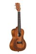 Kala KA-COURAGE-C-BAG Courage Mahogany Concert Ukulele with Bag on Sale