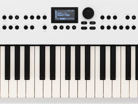 Roland GO:KEYS 5 Keyboard (White) For Cheap