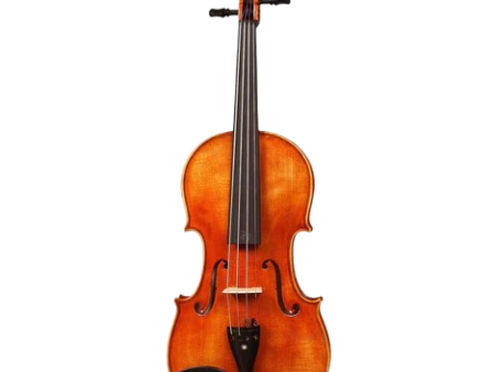 Akord Kvint HL8 Harald Lorenz Concert Level Violin Discount