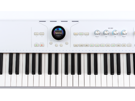 Arturia ASTROLAB61WH Semi-Weighted Stage Keyboard With Aftertouch (White) - 61 Keys Online now