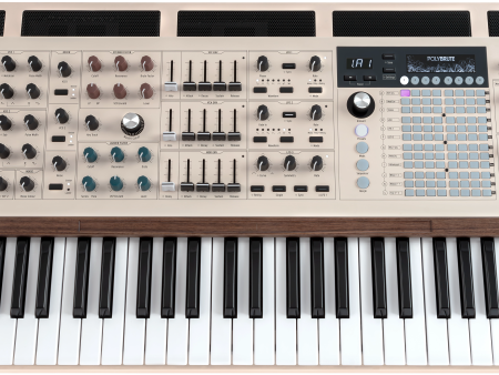 Arturia POLYBRUTE12 12-Voice Polyphonic Analog Synthesizer Online