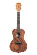 Kala KA-GUIDANCE-C-BAG Guidance Mahogany Concert Ukulele with Bag Online Sale