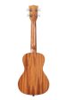 Kala KA-COURAGE-C-BAG Courage Mahogany Concert Ukulele with Bag on Sale