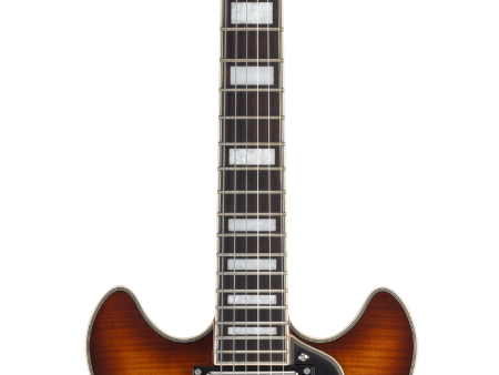 D Angelico PREMIER MINI DC Semi Hollow Electric Guitar (Dark Iced Tea Burst) Online now