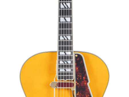 D Angelico EXCEL STYLE B Hollow Body Electric Guitar (Amber) Online