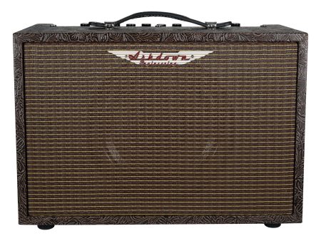 Ashdown WOODSMAN CLASSIC Acoustic Guitar Amplifier For Sale