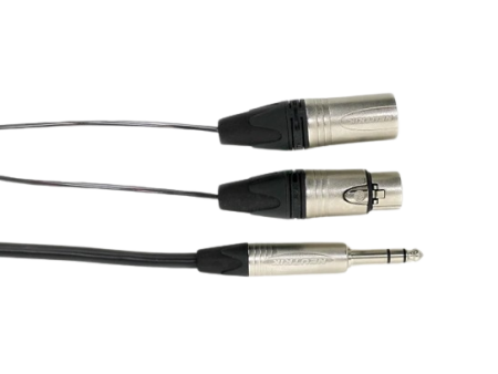 Digiflex CINS 4S-FXMX Multichannel Insert Cable TRS to XLR F and XLR M - 10  Online