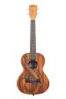 Kala KA-GUIDANCE-T-BAG Guidance Mahogany Tenor Ukulele with Bag For Sale