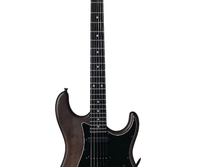 Tagima JUNINHO AFRAM Signature Electric Guitar (Natural Dark Satin) Online now