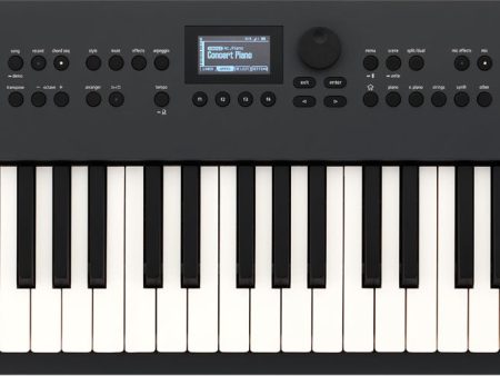 Roland GO:KEYS 5 Keyboard (Graphite) For Discount