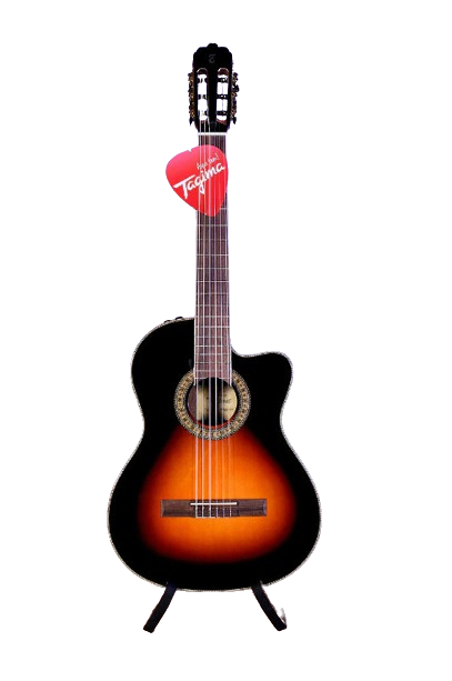 Tagima WS 12 EQ-DBS Classical Acoustic Guitar (Drop Sunburst) on Sale