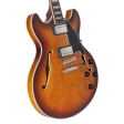 D Angelico PREMIER DC Semi Hollow Electric Guitar (Dark Iced Tea Burst) Sale