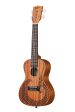 Kala KA-COURAGE-C-BAG Courage Mahogany Concert Ukulele with Bag on Sale