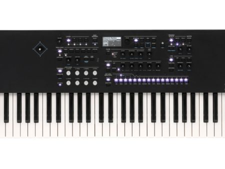 Korg WAVESTATE SE Limited Edition Wave Sequencing Synthesizer - 61-Keys For Discount