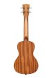 Kala KA-UNITY-C-BAG Unity Mahogany Concert Ukulele For Cheap